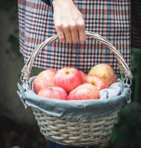 A person carrying a basket of apples