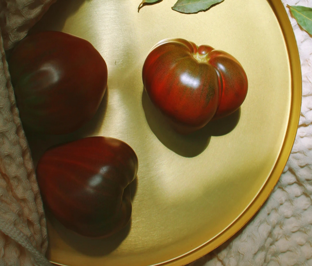 black vernissage tomato determinate or indeterminate