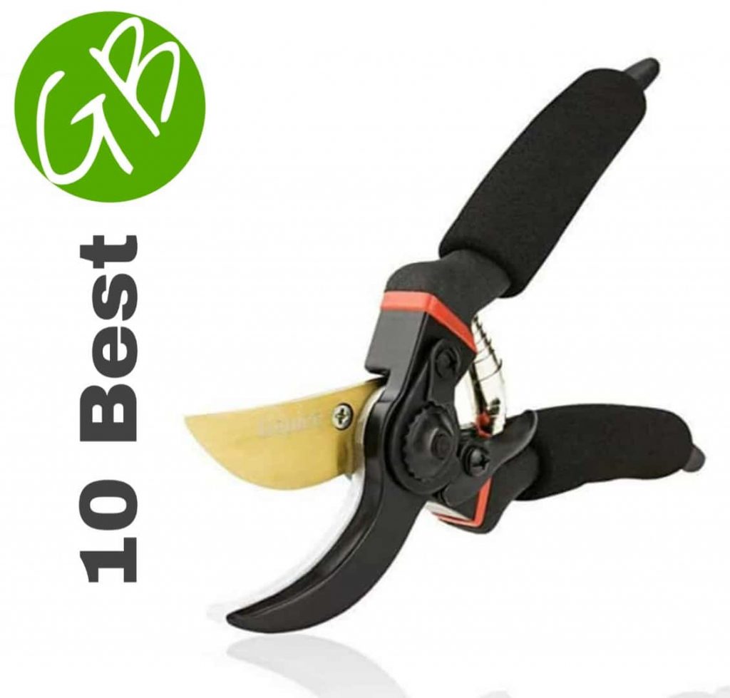 10 Best Hedge Shears - Gardening Brain