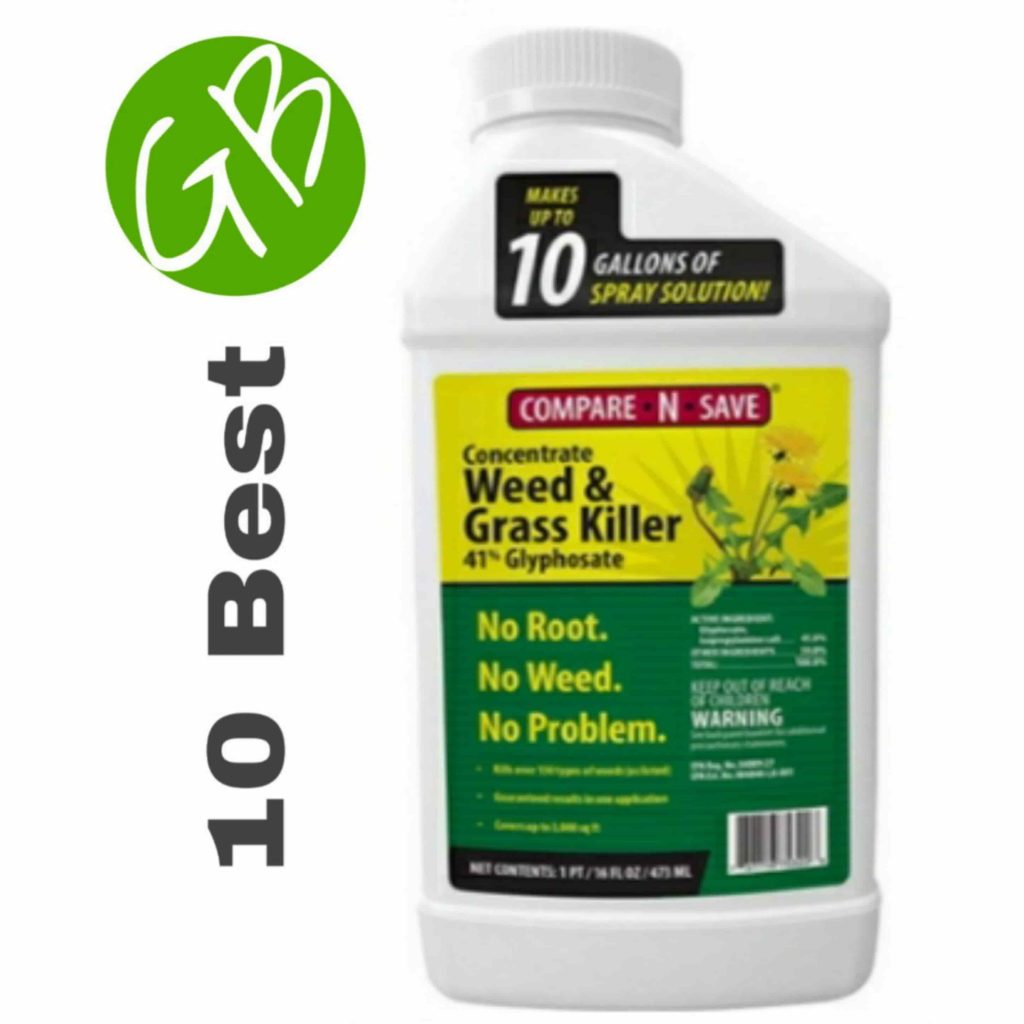 10 Best Dandelion Killer – Gardening Brain