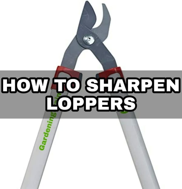 How to Sharpen Loppers