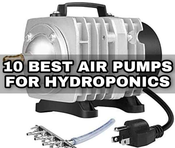 Best Air Pumps For Hydroponics
