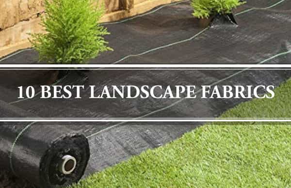 Best Landscape Fabric