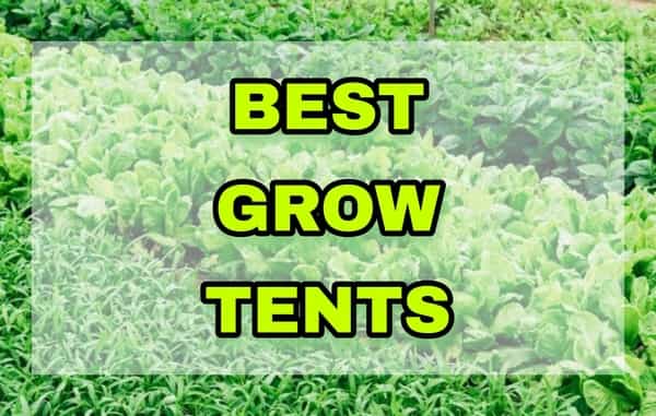 Best Grow Tents