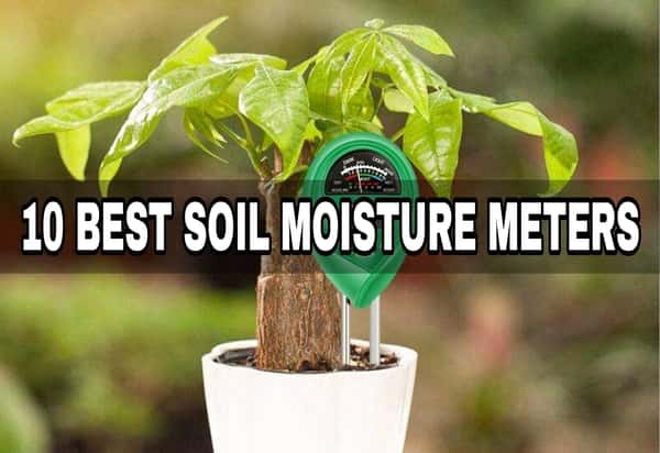 Best soil moisture meters