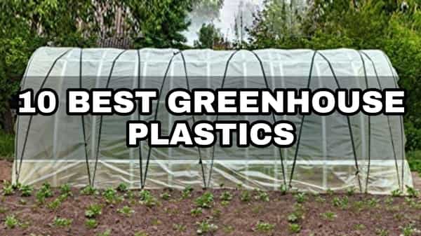 Best Greenhouse Plastic