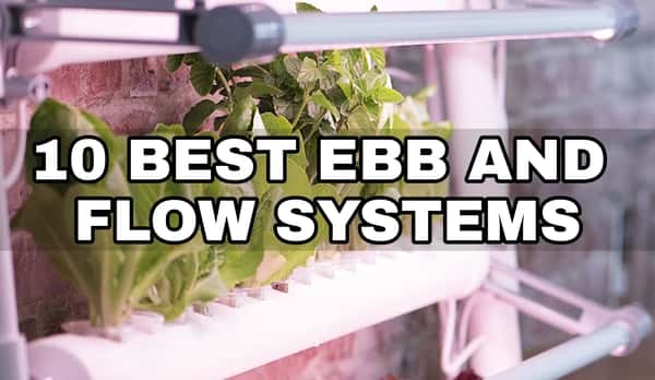 best ebb and flow system