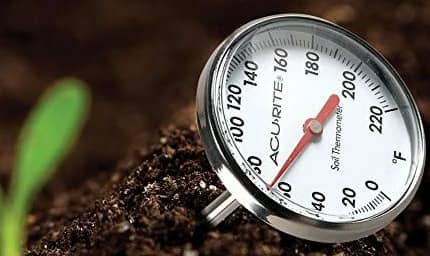 best soil thermometer