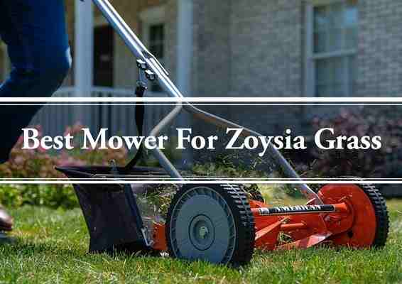 best mowers for zoysia grass