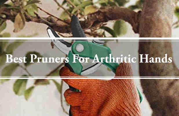 Best Pruners For Arthritic Hands